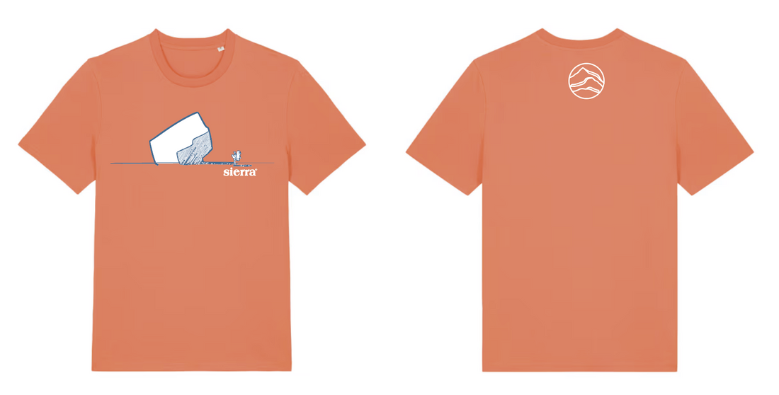 T-shirt Men DREAMING