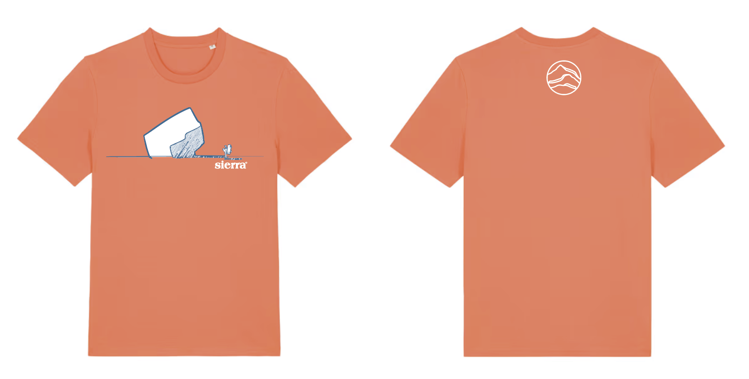 T-shirt Men DREAMING